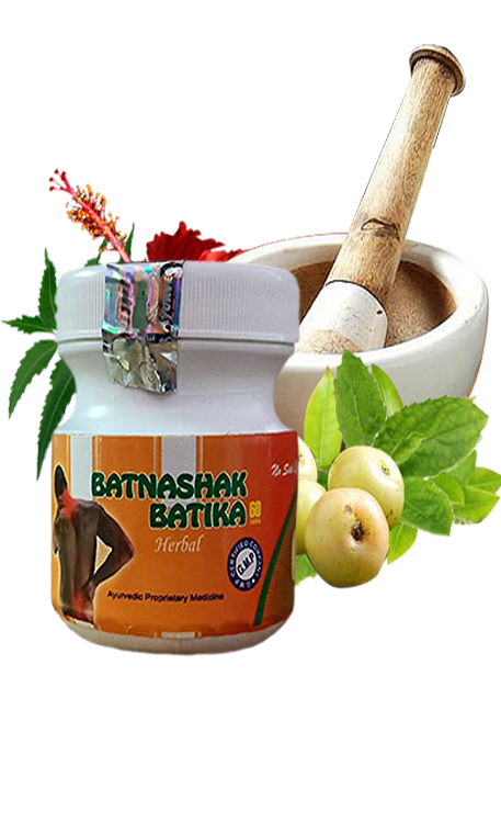 Batnashak Batika : We all know with age an active lifestyle can cause ...